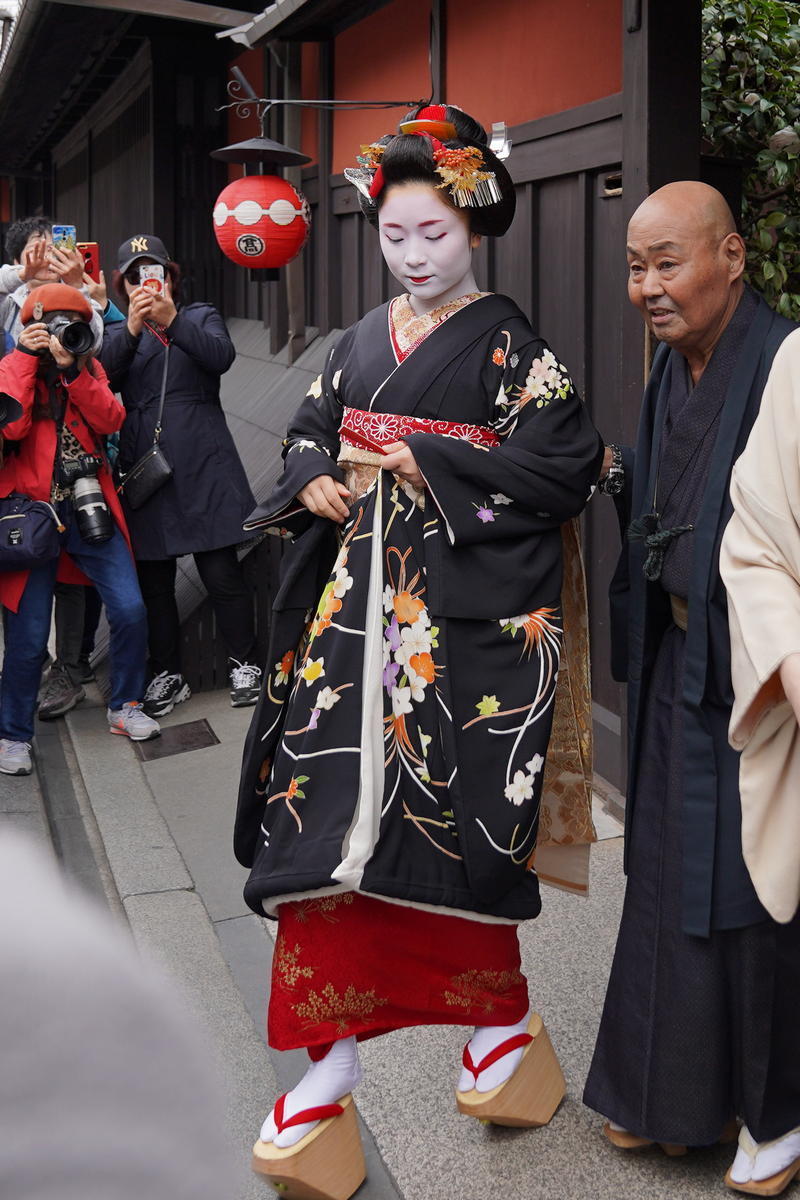 小純さん 見世出し 祇園甲部 小野小町のひとりごと